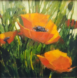 Poppies Rev